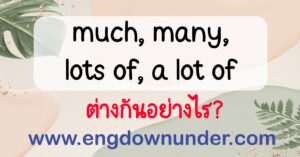 Much many lots of a lot of